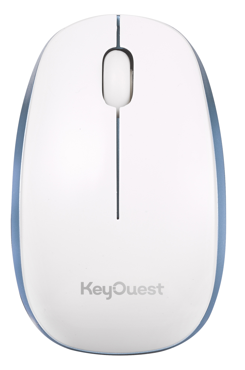 mini souris sans fil wave blanc bleu