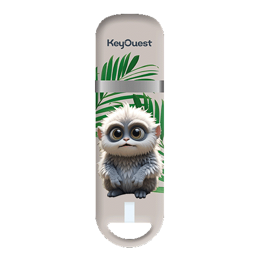 clés USB microcebe 32 go