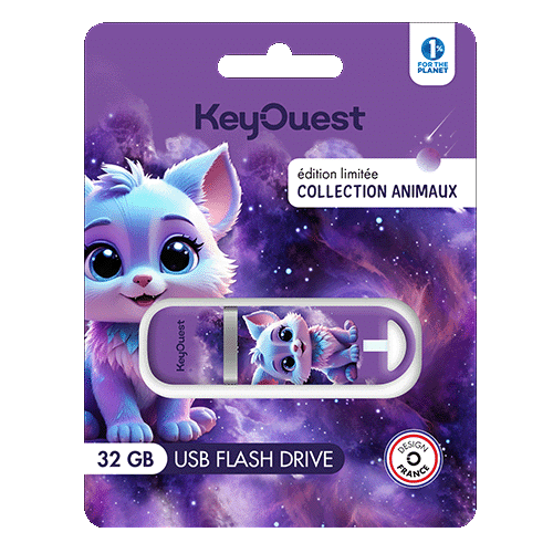 clés USB renard 32 go Keyouest