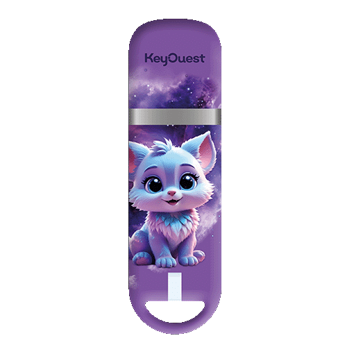clés USB renard 32 go