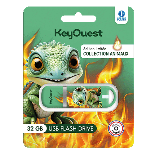 clés USB dragon 32 go Keyouest