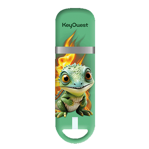 clés USB dragon 32 go